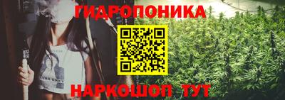 хмурый Свободный