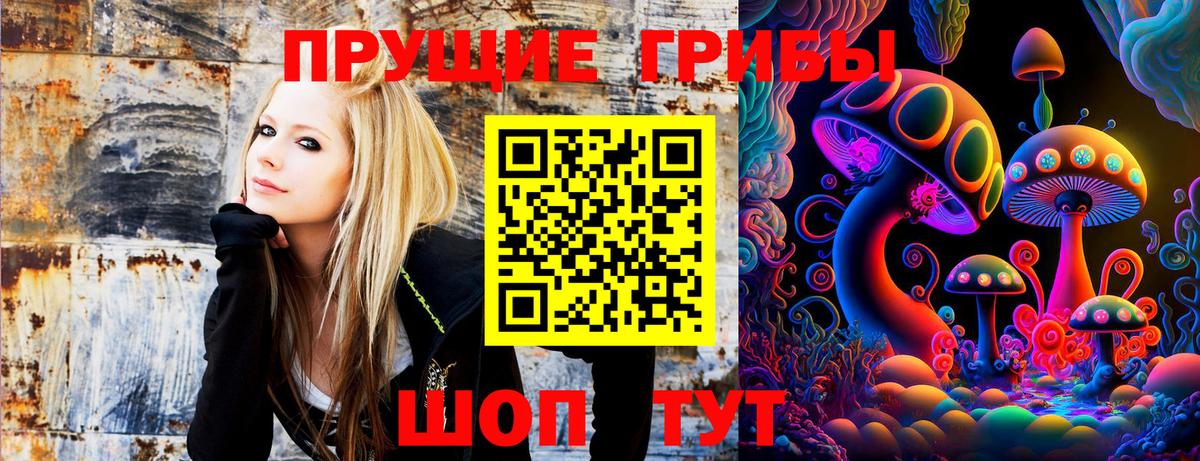 Галлюциногенные грибы GOLDEN TEACHER  Псилоцибиновые грибы мицелий  Вход с VPN  Ноябрьск 
