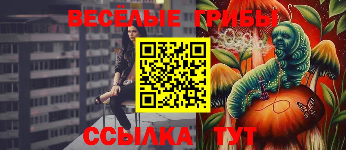 Галлюциногенные грибы Cubensis Ноябрьск